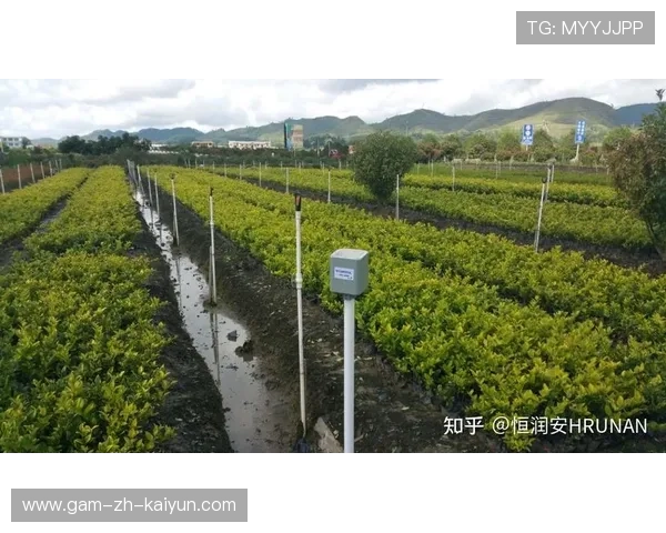 2026世界杯16大承办场馆草坪微气候横向对比：智能灌溉深度如何改变八强赛球速