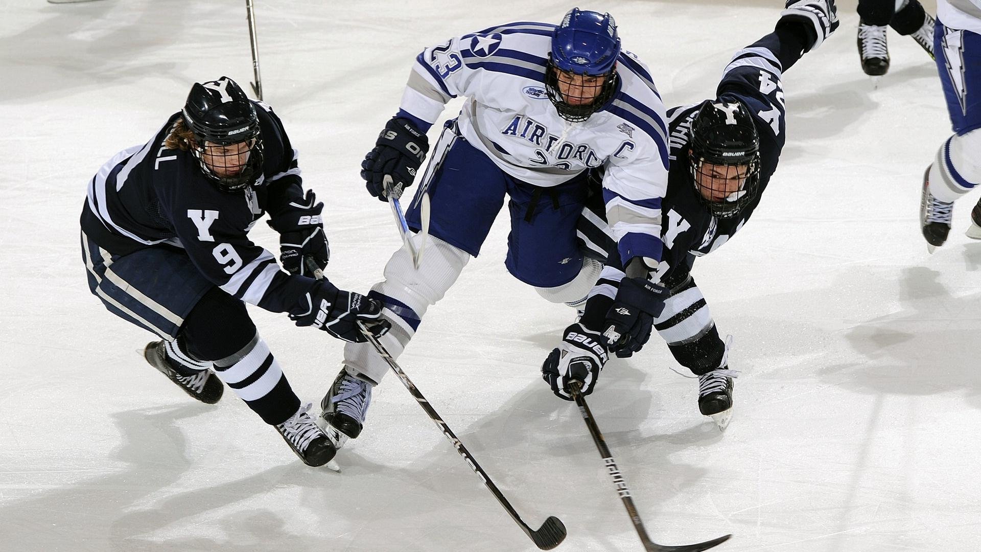 “2025世界游泳锦标赛：游泳项目的竞技与娱乐双重魅力”